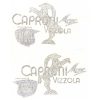 Coppia adesivi in pvc per serbatoio Capriolo Caproni